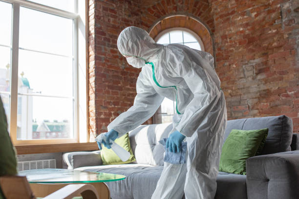 Best Water Damage & Mold Remediation in Sagamore, MA